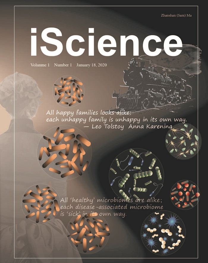 电子游戏app下载安装