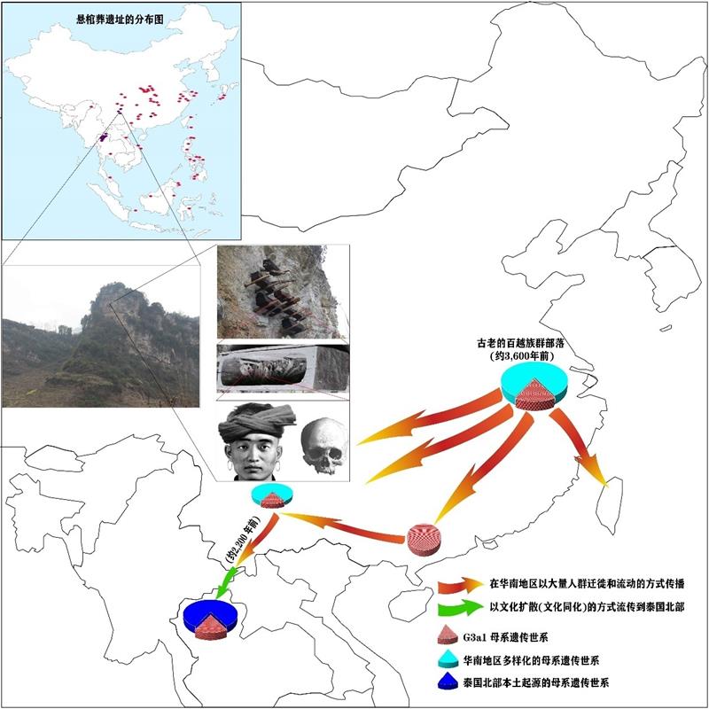 电子游戏app下载安装