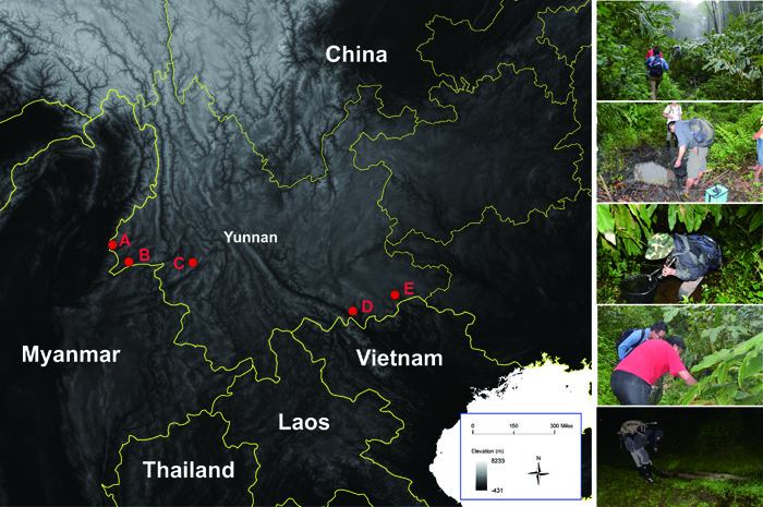 电子游戏app下载安装
