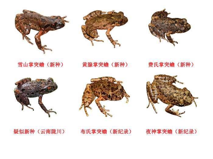 电子游戏app下载安装