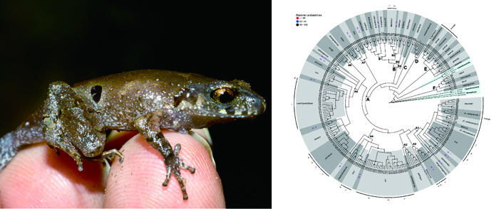电子游戏app下载安装