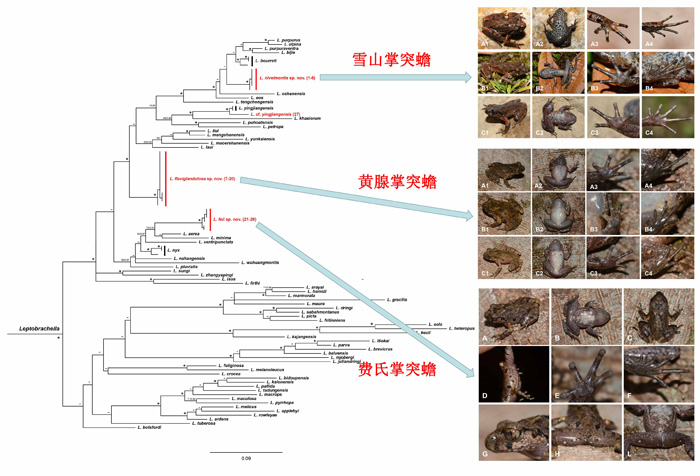 电子游戏app下载安装