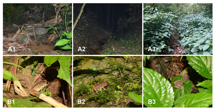 电子游戏app下载安装