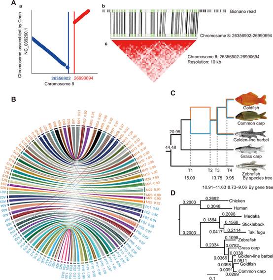 电子游戏app下载安装