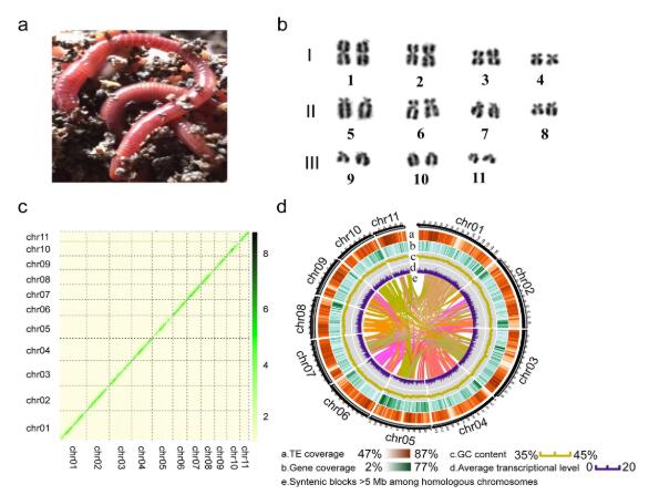 电子游戏app下载安装