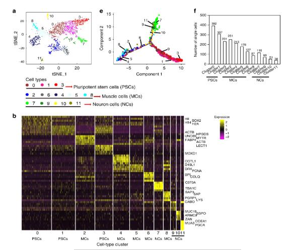 电子游戏app下载安装