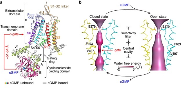 电子游戏app下载安装