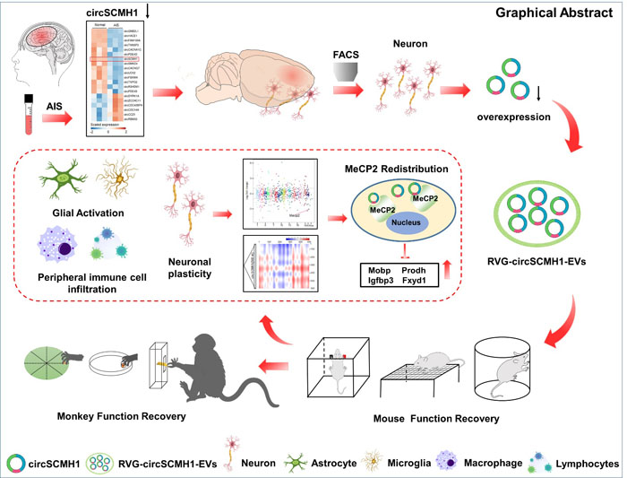 电子游戏app下载安装