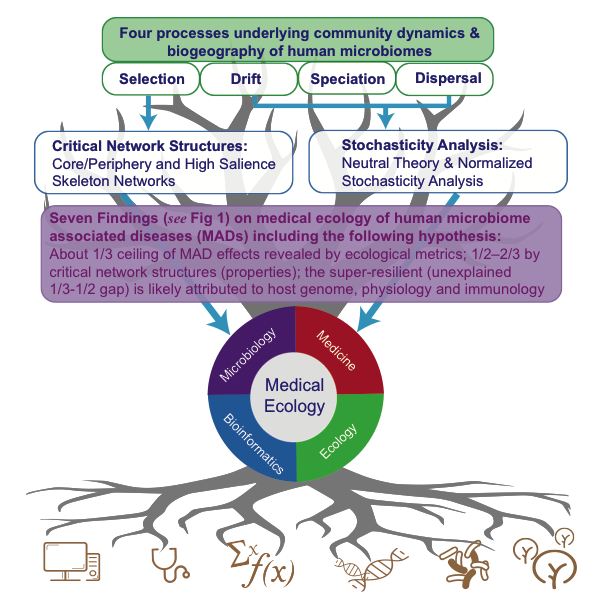 电子游戏app下载安装