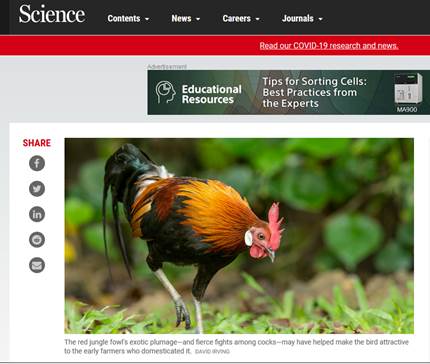 电子游戏app下载安装