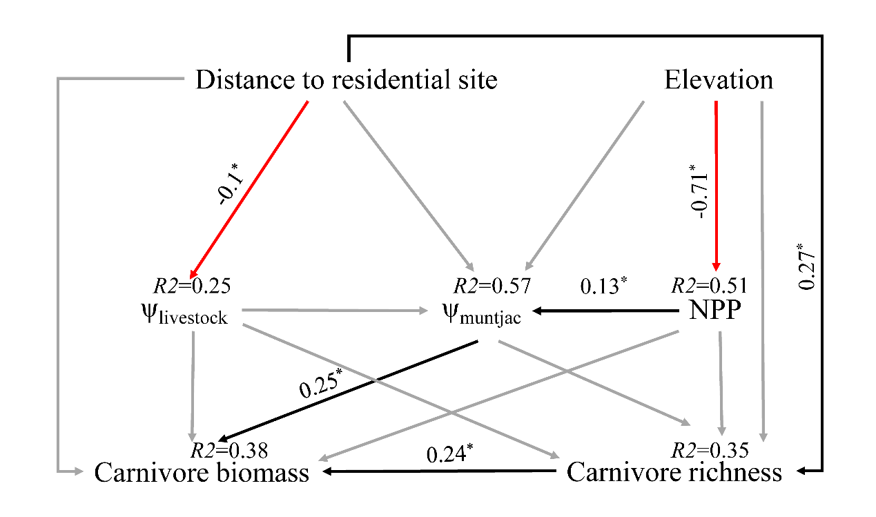 电子游戏app下载安装