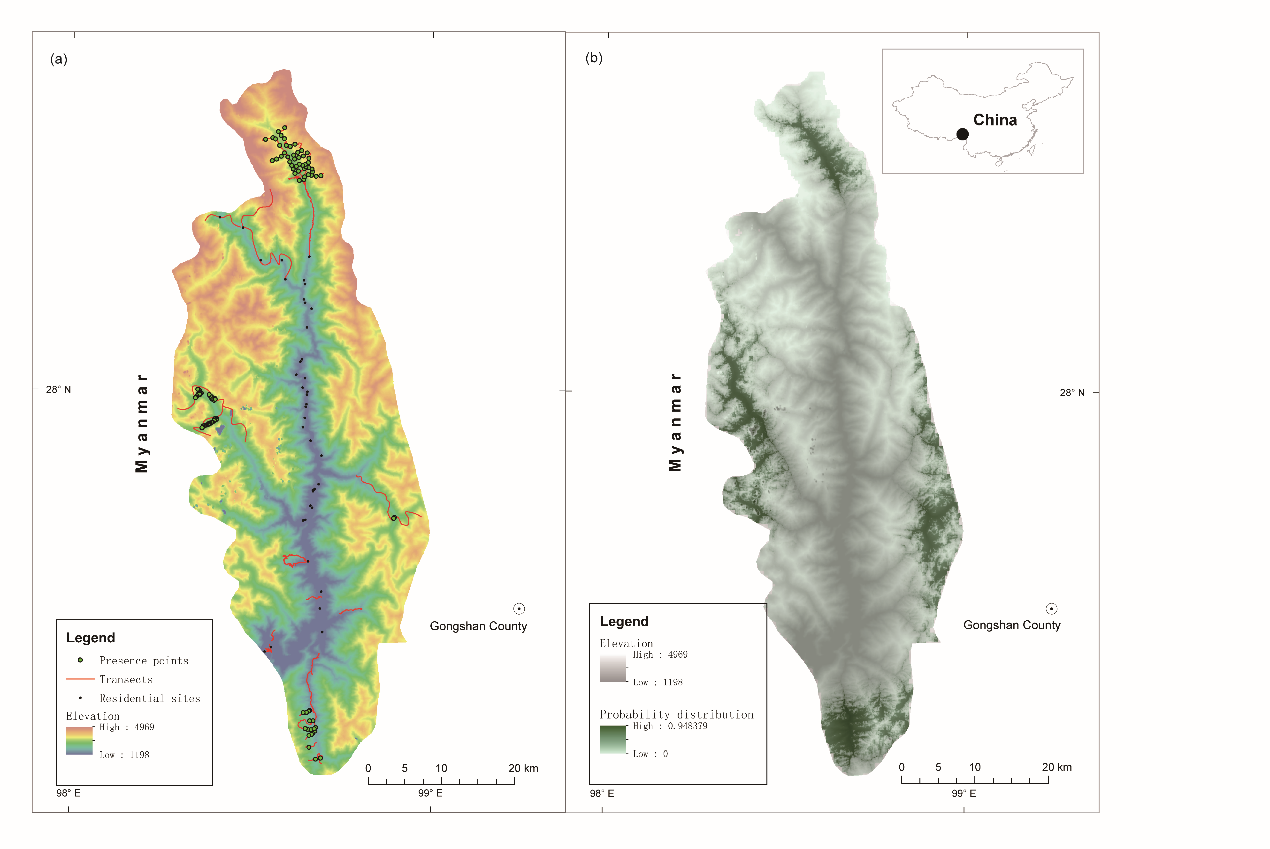 电子游戏app下载安装