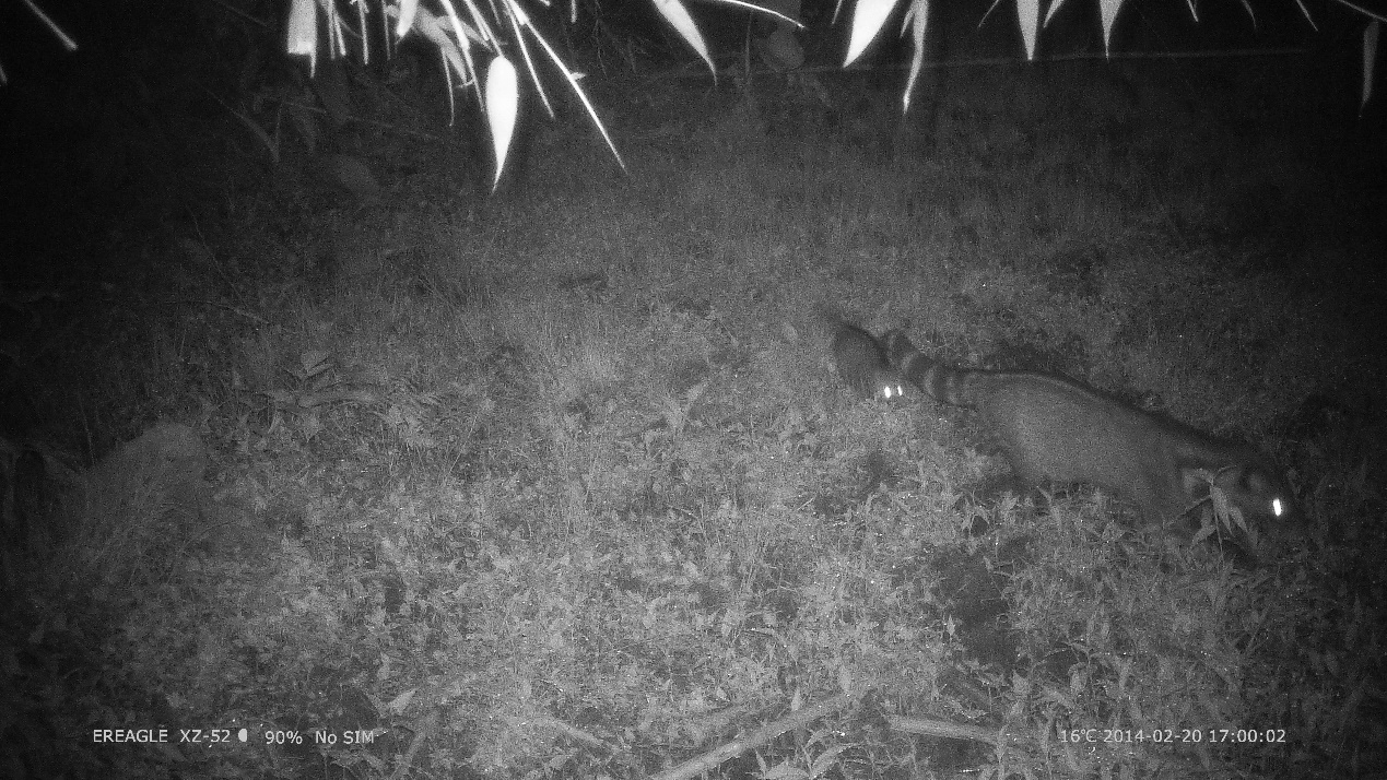 电子游戏app下载安装