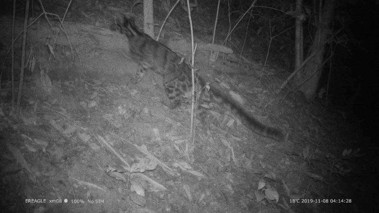 电子游戏app下载安装