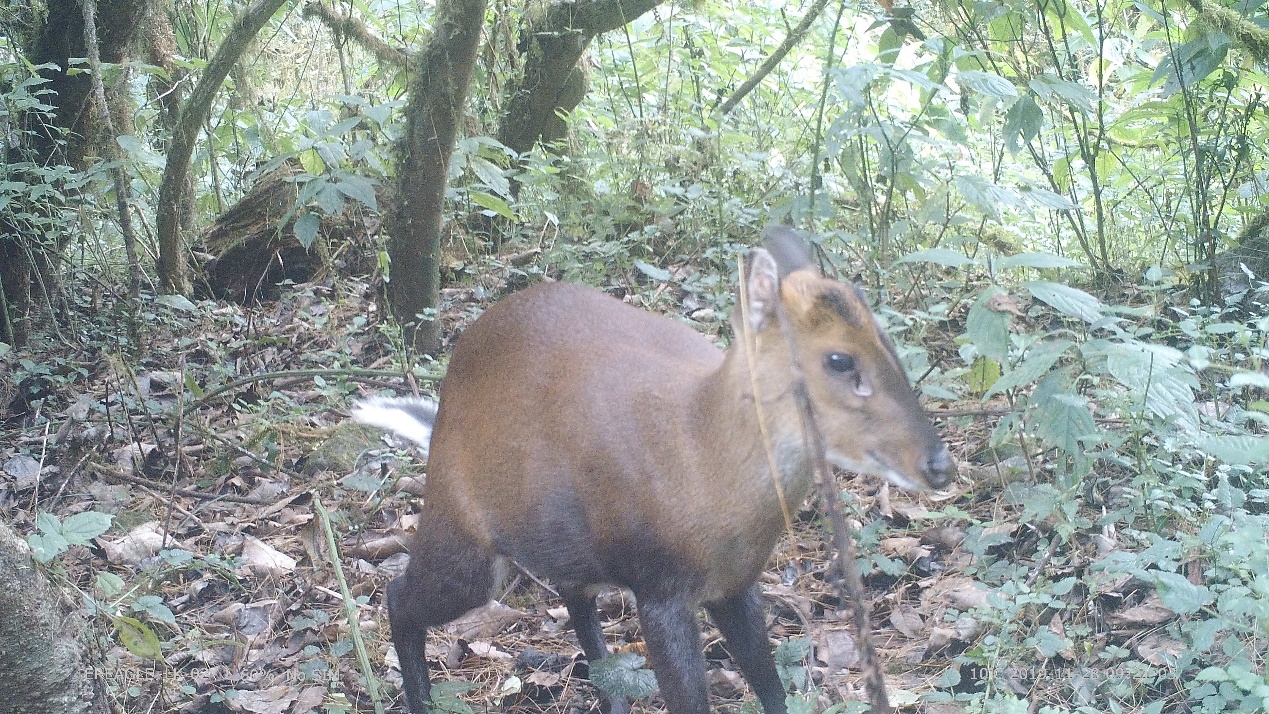 电子游戏app下载安装