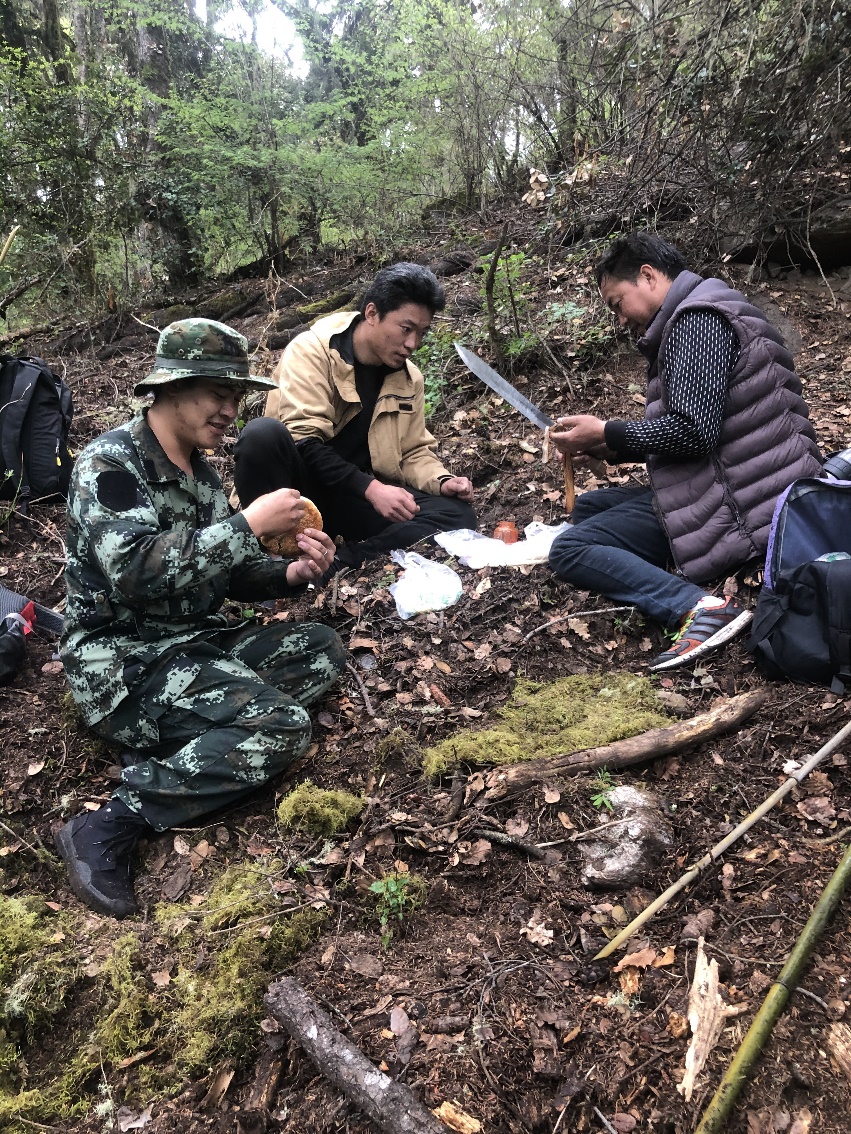 电子游戏app下载安装