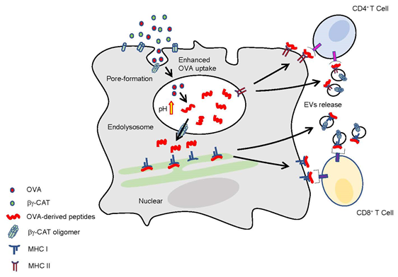 电子游戏app下载安装