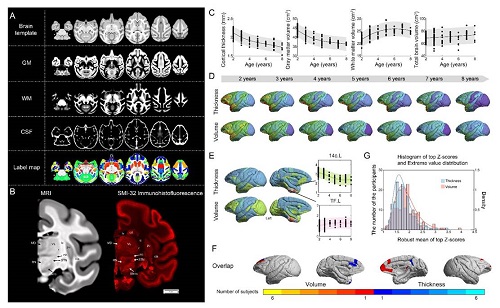 电子游戏app下载安装