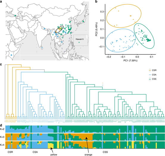 电子游戏app下载安装