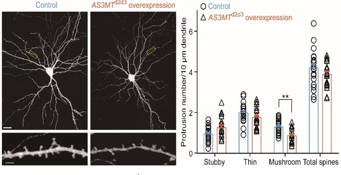 电子游戏app下载安装