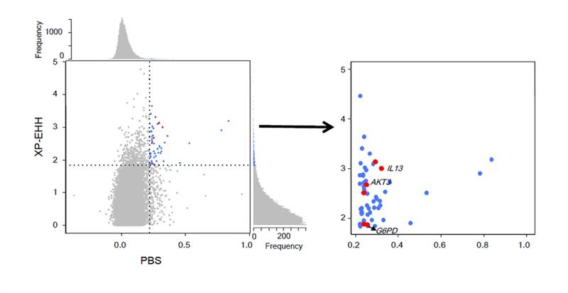 电子游戏app下载安装