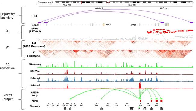 电子游戏app下载安装