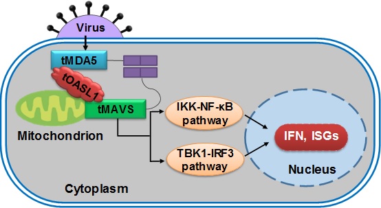 电子游戏app下载安装