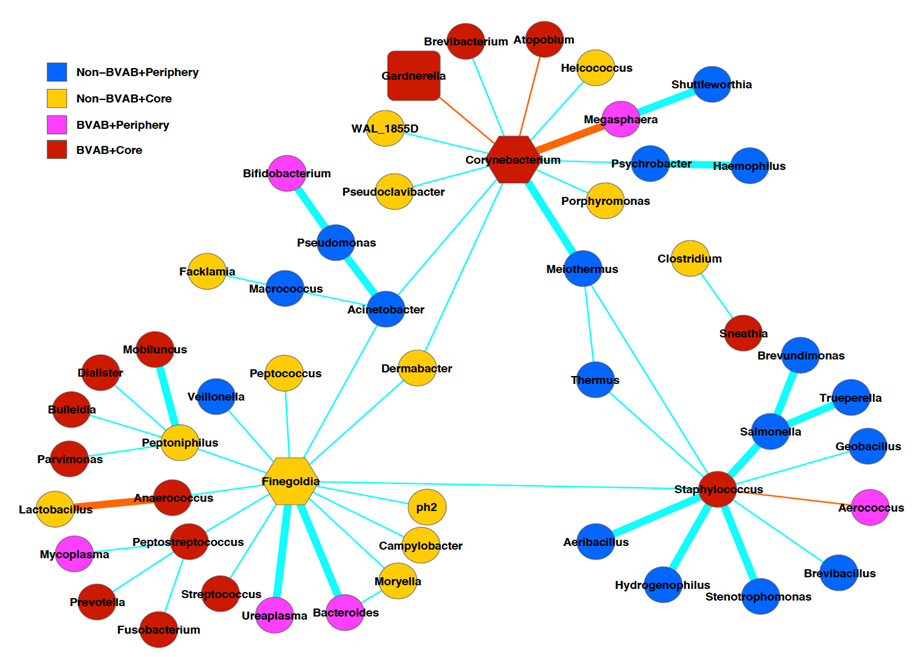 电子游戏app下载安装