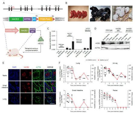 电子游戏app下载安装