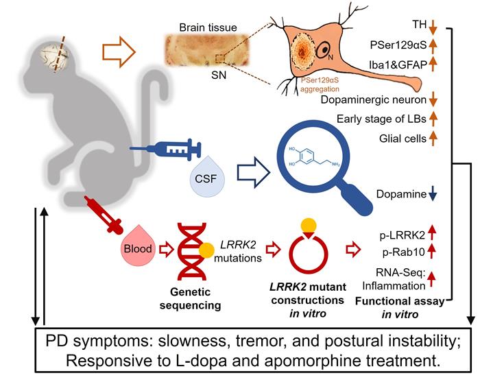 电子游戏app下载安装