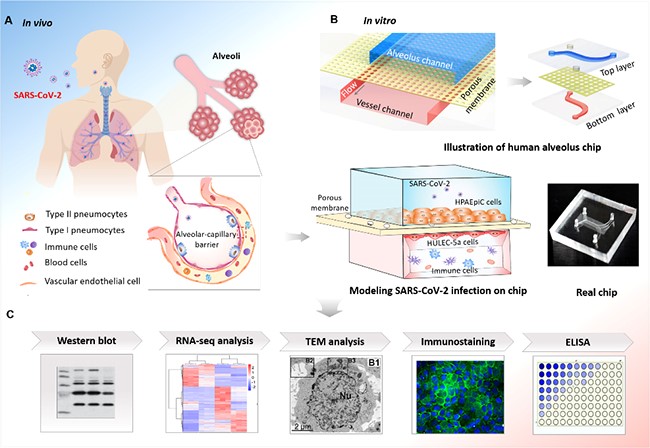 电子游戏app下载安装