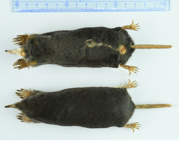 电子游戏app下载安装