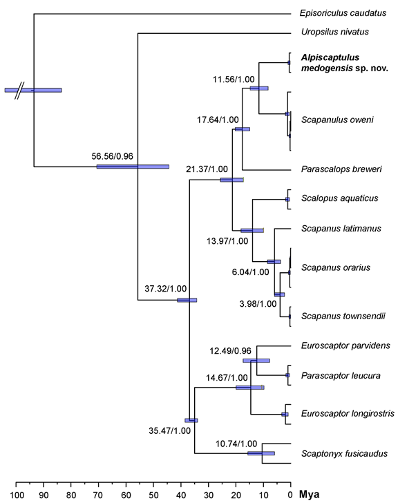 电子游戏app下载安装