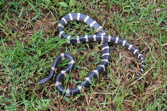 电子游戏app下载安装