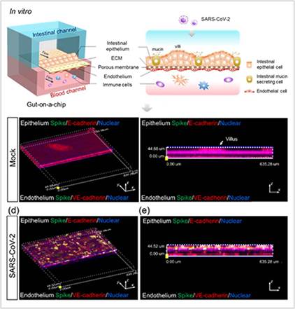 电子游戏app下载安装