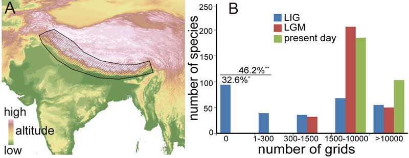 电子游戏app下载安装