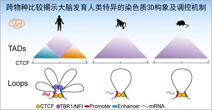 电子游戏app下载安装