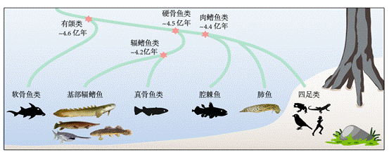 电子游戏app下载安装