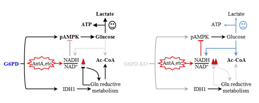 电子游戏app下载安装