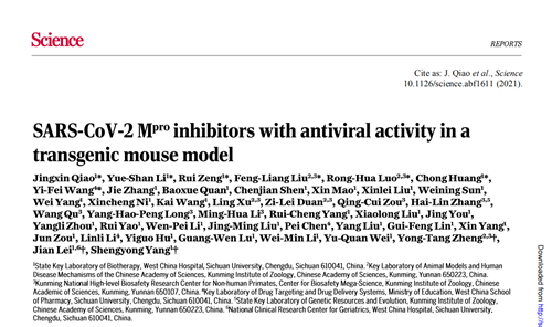 电子游戏app下载安装