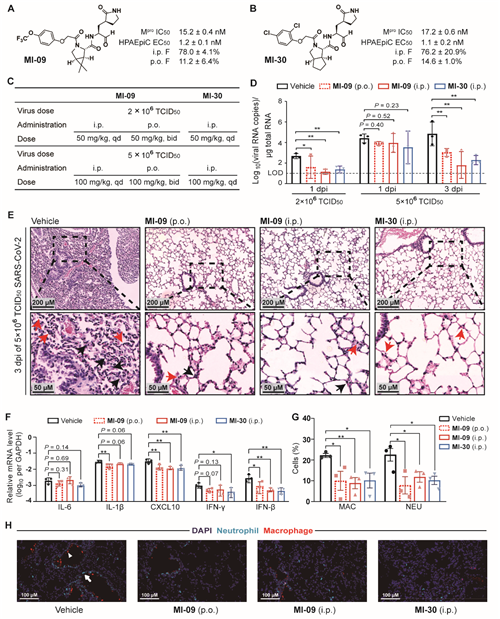 电子游戏app下载安装