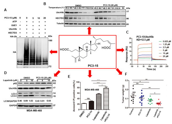 电子游戏app下载安装