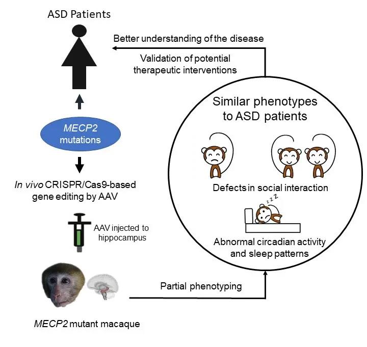 电子游戏app下载安装