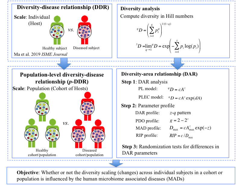 电子游戏app下载安装