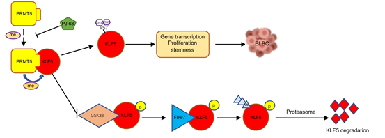 电子游戏app下载安装