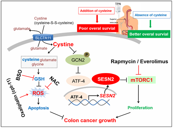 电子游戏app下载安装