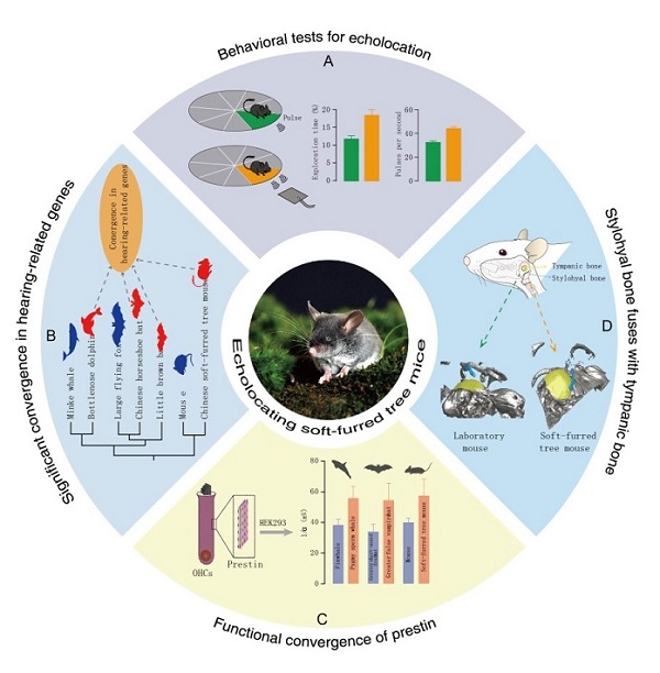 电子游戏app下载安装