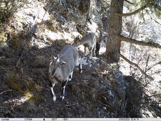电子游戏app下载安装