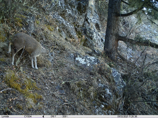 电子游戏app下载安装