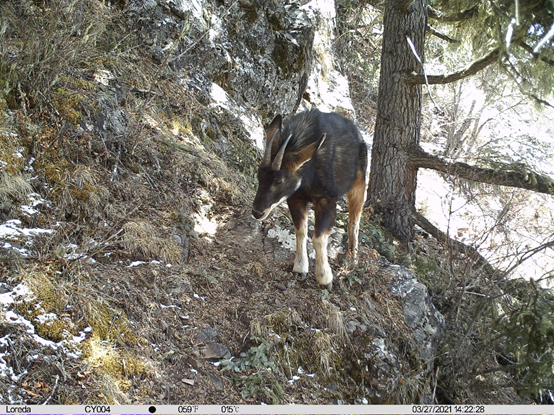 电子游戏app下载安装